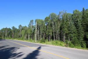 Haliburton Cottage Land for Sale