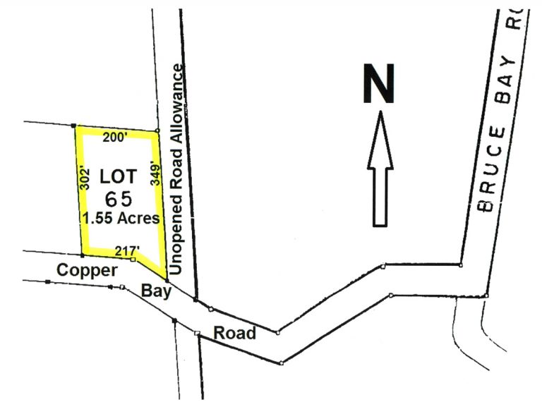 ForestLandforSaleAlgoma Dignam Land Land for Sale in Canada