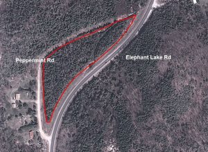 Haliburton Forest Land for Sale