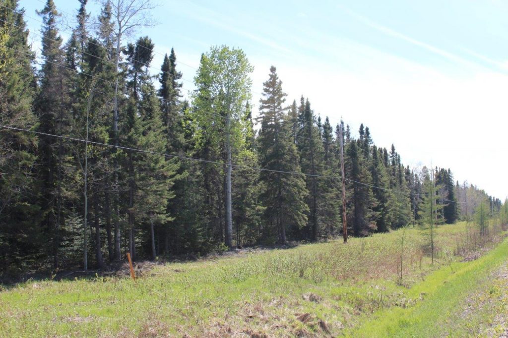 HuntingPropertyforSaleCalvert Dignam Land Land for Sale in Canada
