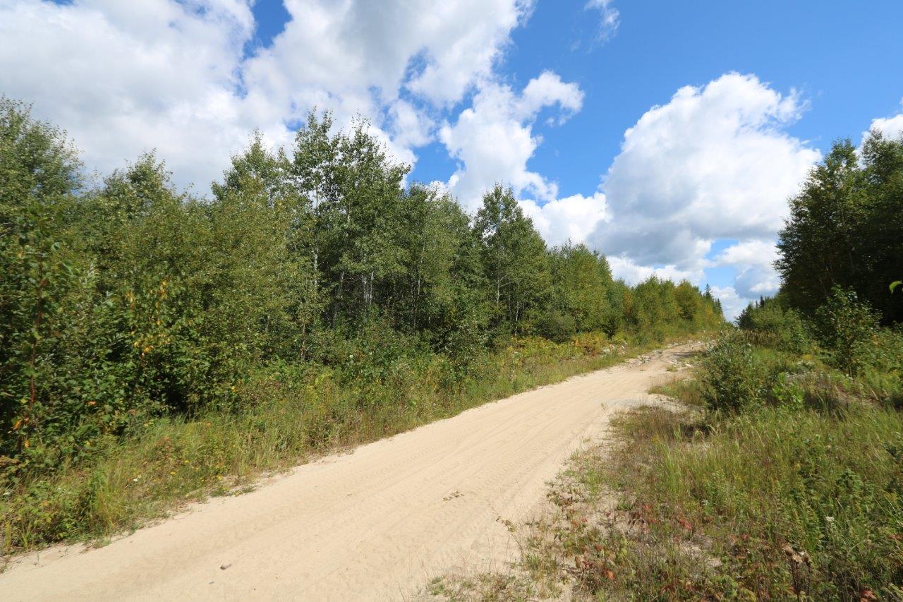 Crown Land for Sale in Cochrane, Ontario | Dignam Land