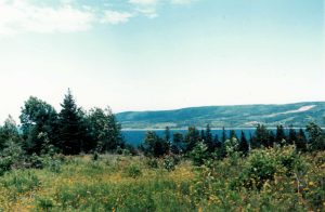 Antigonish Land for Sale