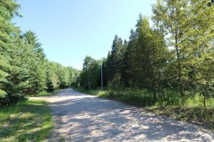 Haliburton Land for Sale