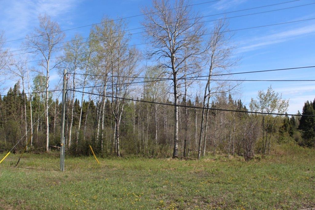 PropertyforSaleCalvert Dignam Land Land for Sale in Canada