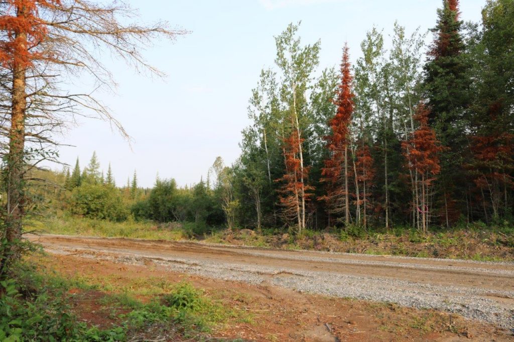 cochranelandforsale Dignam Land Land for Sale in Canada