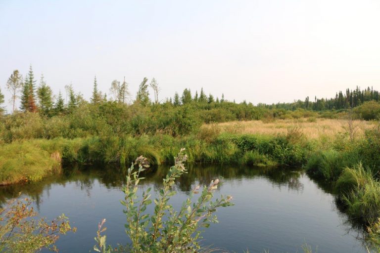 cochranepropertyforsale Dignam Land Land for Sale in Canada