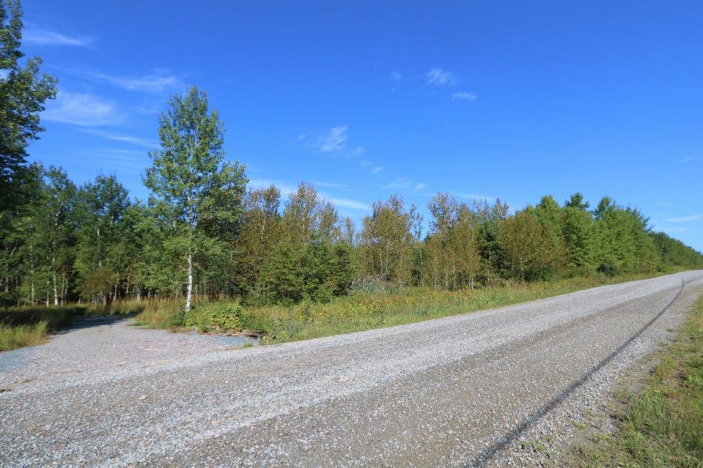 hislopcottagelandforsale Dignam Land Land for Sale in Canada