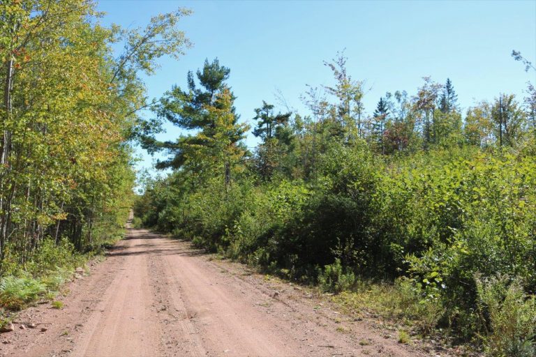 forestlandforsaleHavelock Dignam Land Land for Sale in Canada