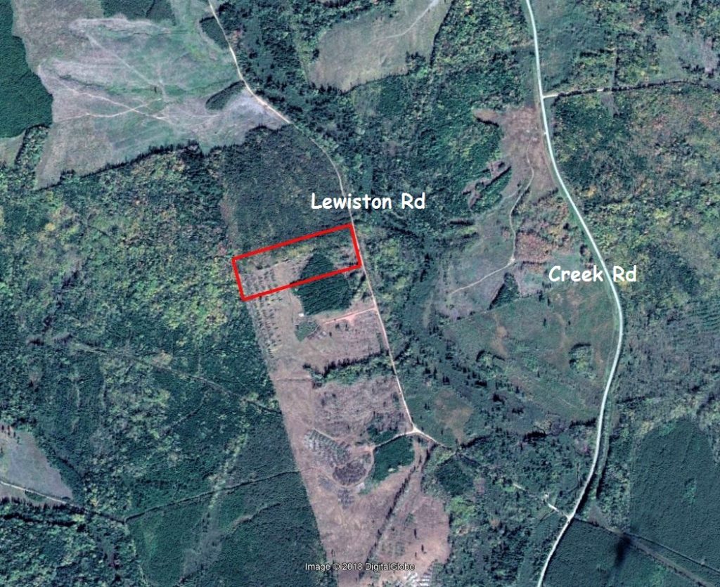 forestpropertyforsaleHavelock Dignam Land Land for Sale in Canada