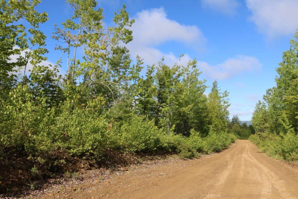 landforsaleCardwell Dignam Land Land for Sale in Canada