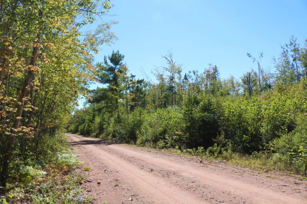 landforsaleHavelock Dignam Land Land for Sale in Canada