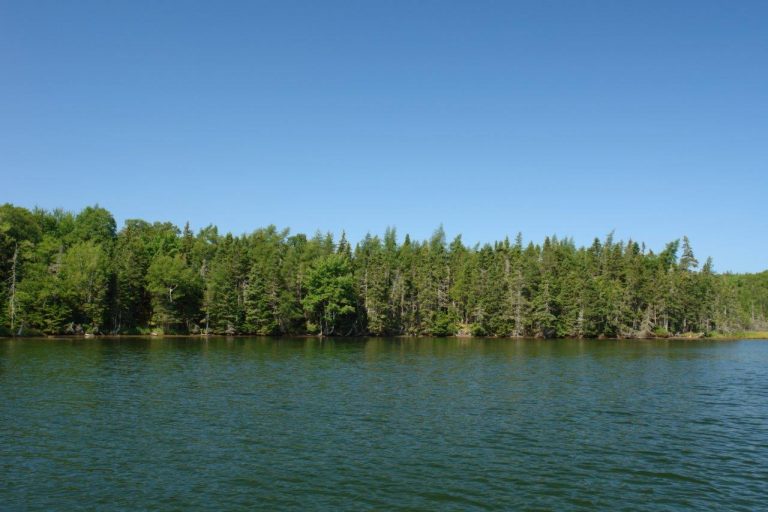 CapeBretonCottageLandforSale Dignam Land Land for Sale in Canada