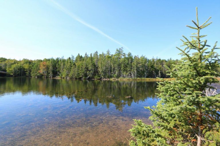 CapeBretonLandforSale Dignam Land Land for Sale in Canada