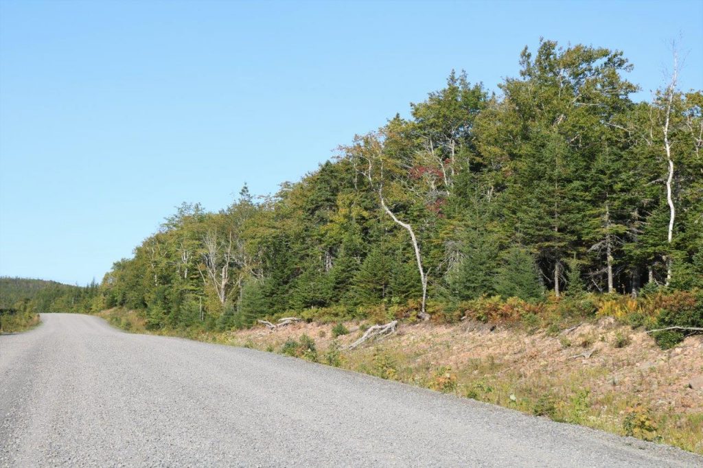 huntinglandforsaleRichmondCounty Dignam Land Land for Sale in