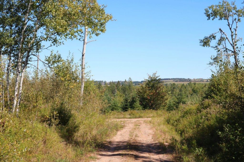 huntingpropertyforsaleHavelock Dignam Land Land for Sale in Canada