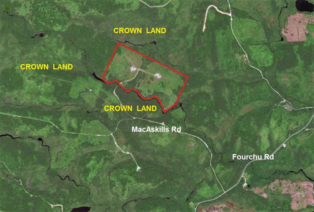 ForestLandforSaleRichmondCounty Dignam Land Land for Sale in