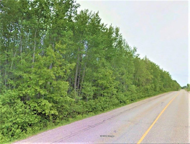 nelsonlandforsale Dignam Land Land for Sale in Canada