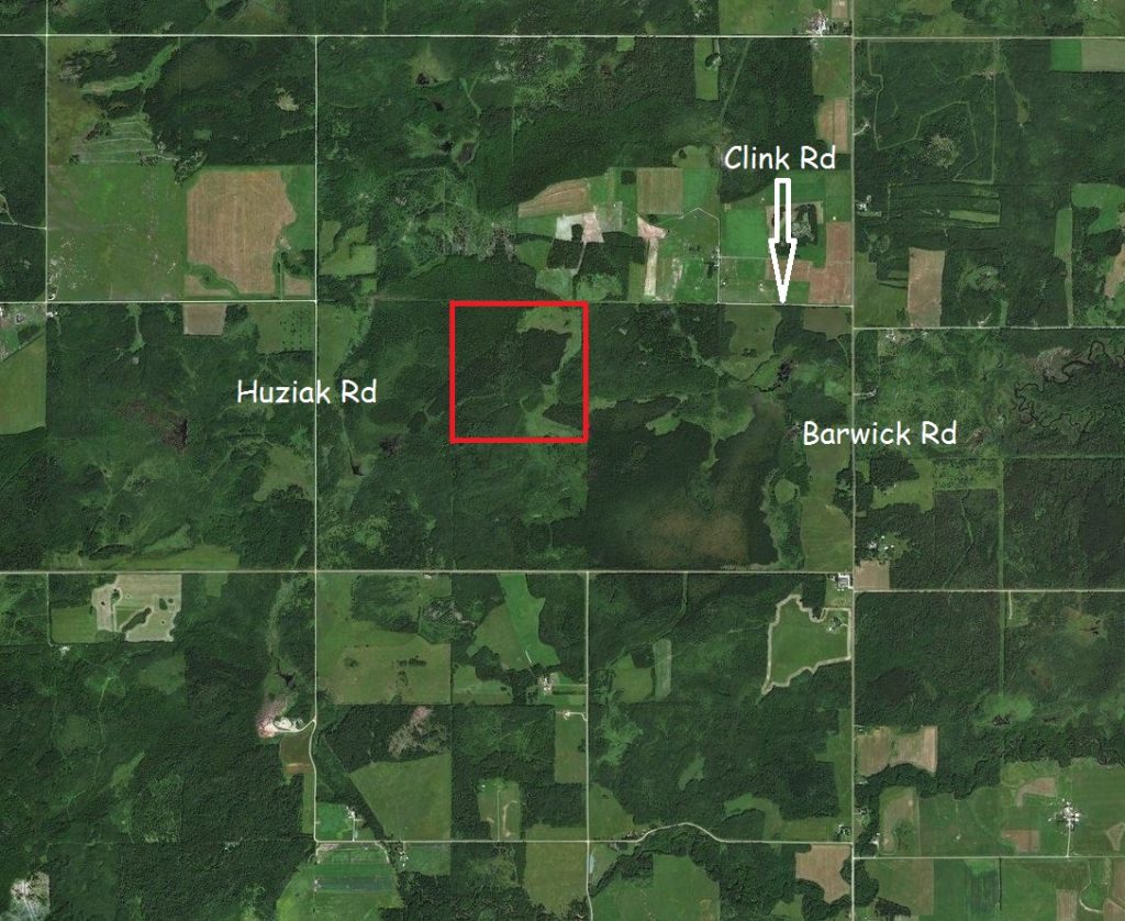 rainyriverlandforsale Dignam Land Land for Sale in Canada