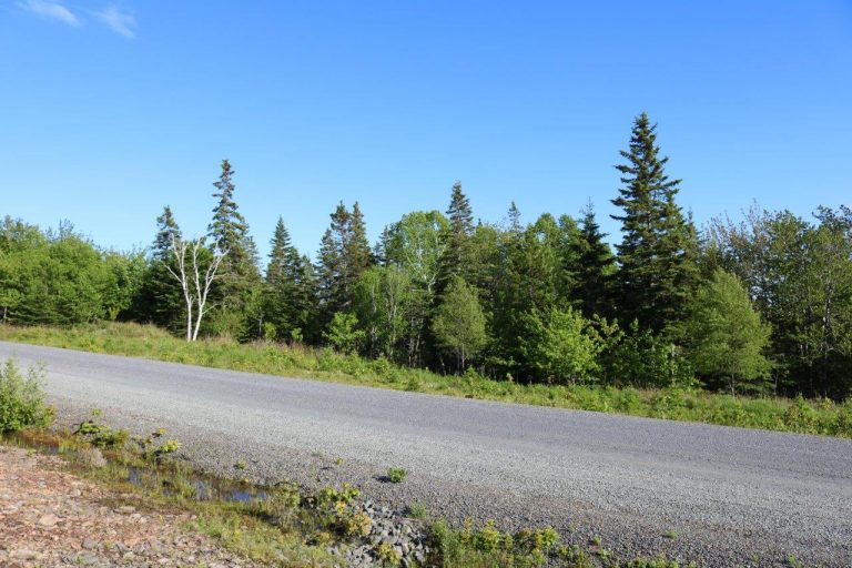 Recreational Property For Sale In Cape Breton at Roy Garcia blog