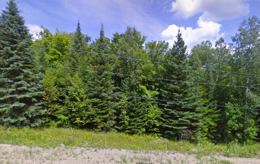 cottagelandforsalehastings Dignam Land Land for Sale in Canada