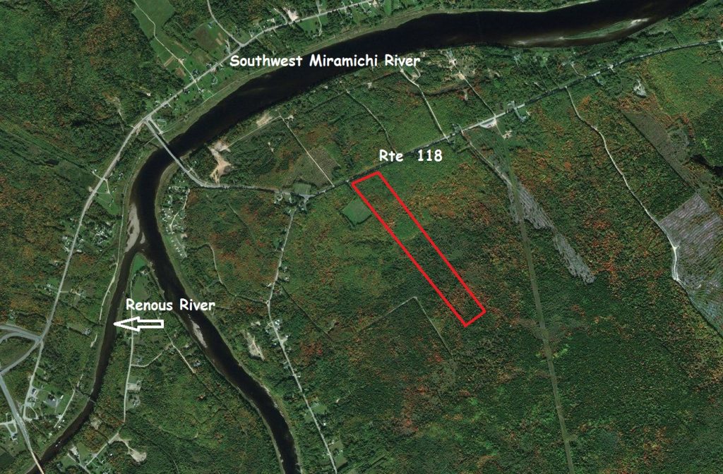 forestlandforsalenorthumberland Dignam Land Land for Sale in Canada