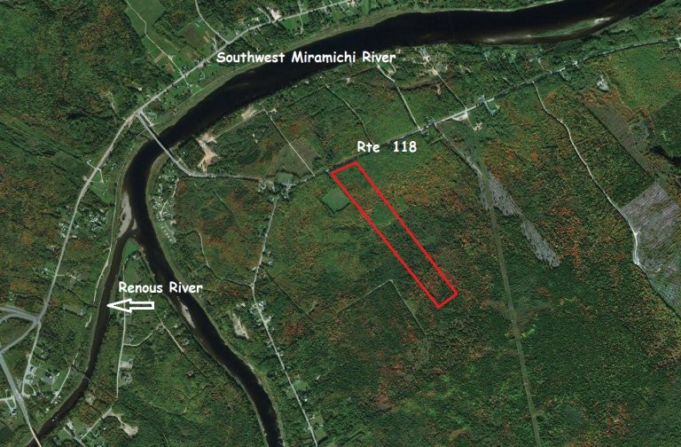 forestlandforsalenorthumberland Dignam Land Land for Sale in Canada