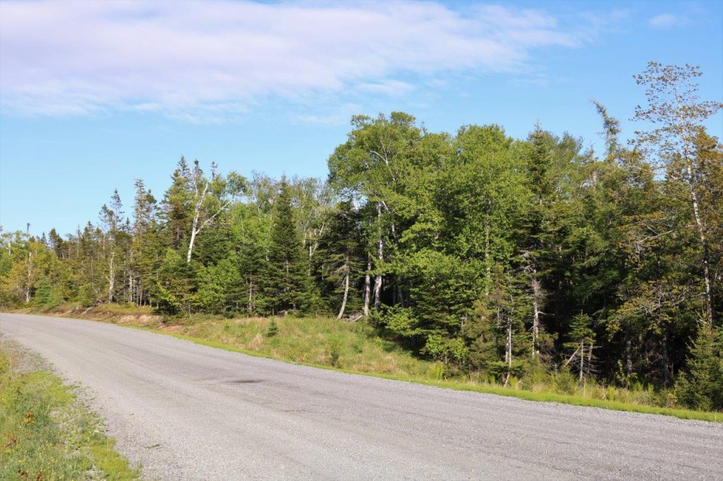 Cape Breton Land for Sale Dignam Land Land for Sale in Canada