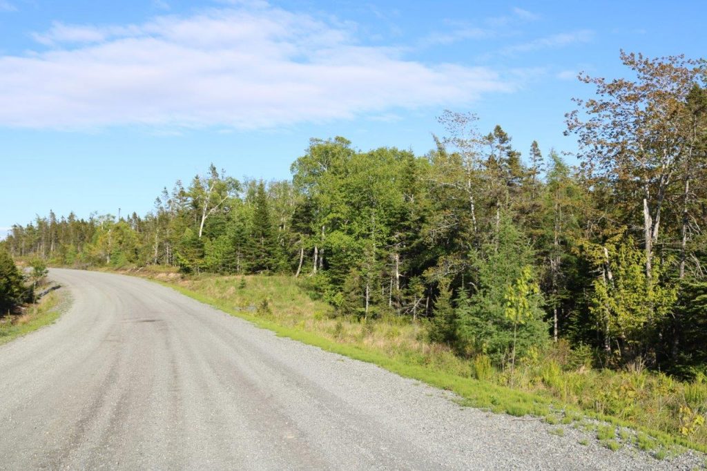 Cape Breton Property for Sale Dignam Land
