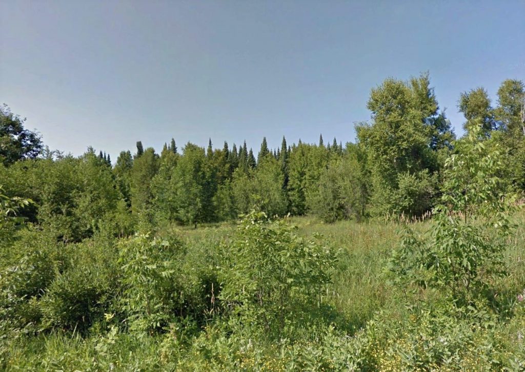 huntingpropertyforsalealgoma Dignam Land Land for Sale in Canada