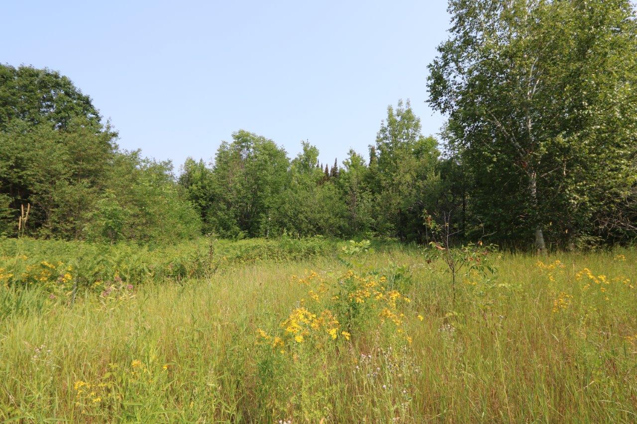 Property for Sale in Algoma, Ontario Dignam Land
