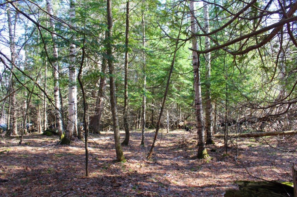 property for sale renfrew Dignam Land Land for Sale in Canada