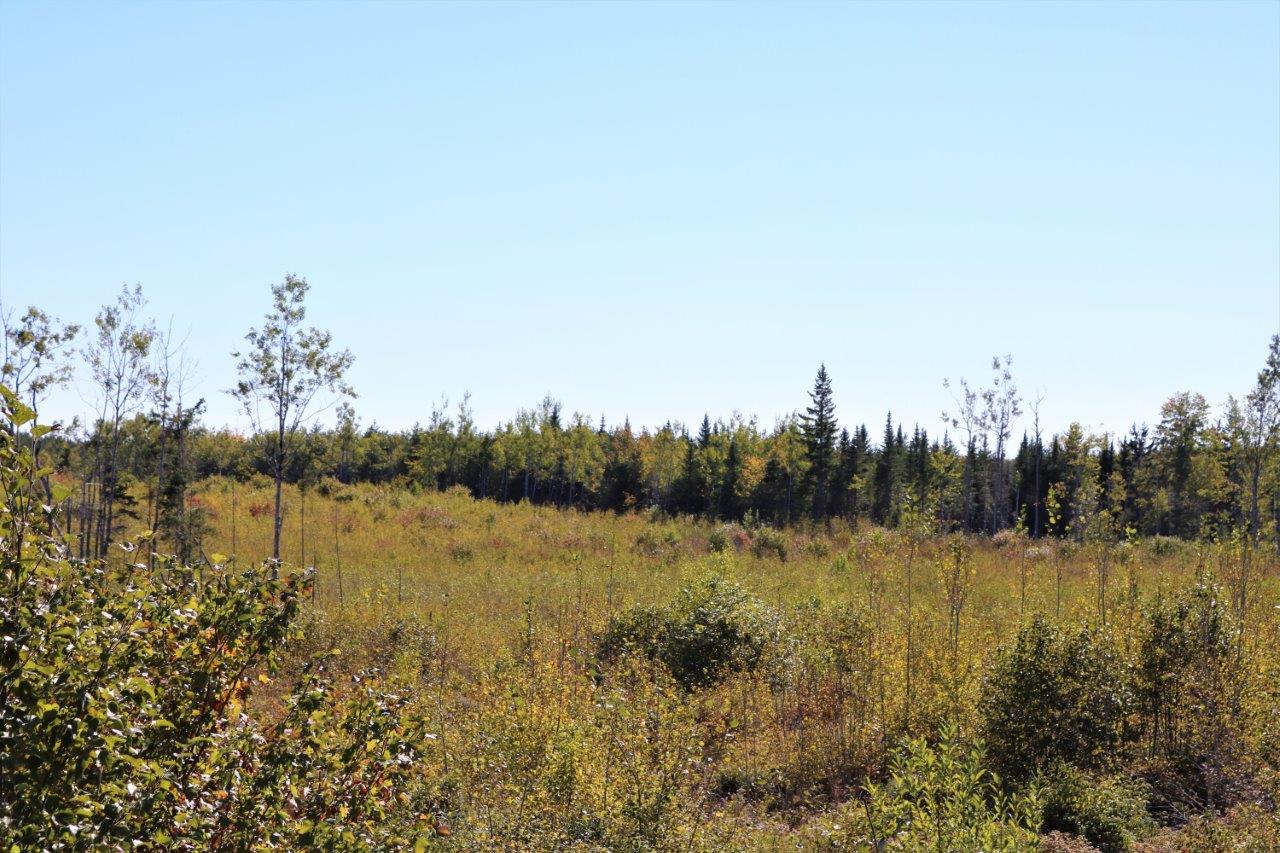 Land for Sale in Havelock, New Brunswick Dignam Land