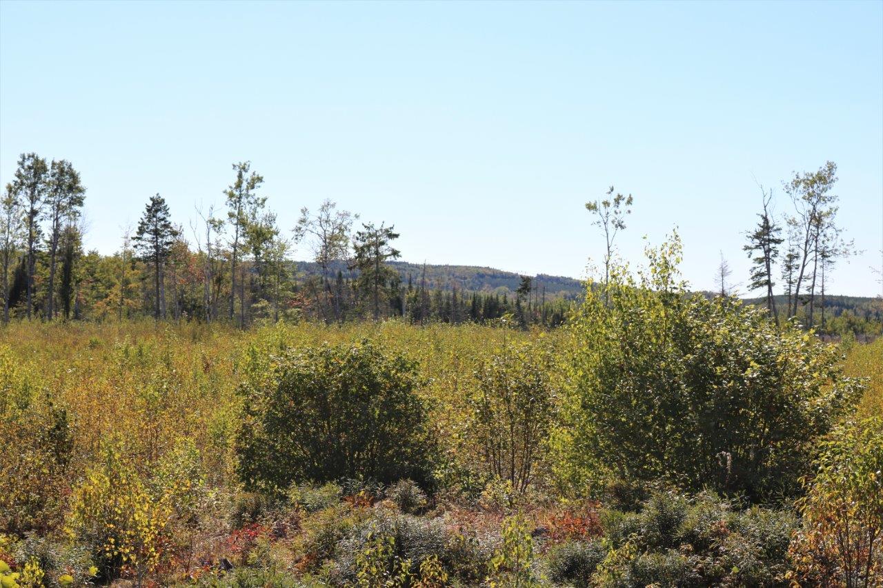 Land for Sale in Havelock, New Brunswick Dignam Land