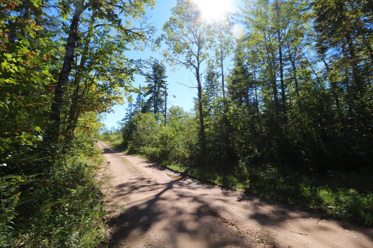 Land for Sale in Havelock, New Brunswick Dignam Land