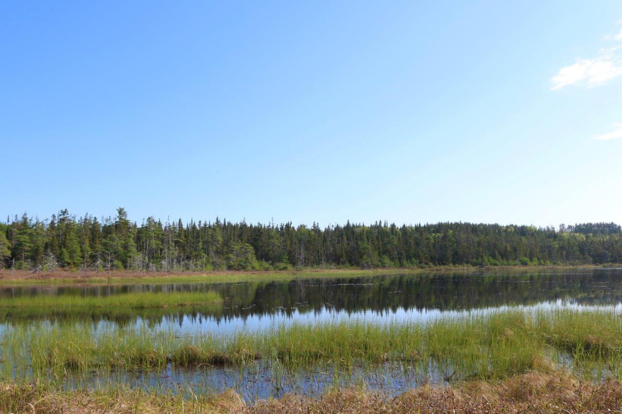 Property for Sale in Richmond County, Nova Scotia Dignam Land