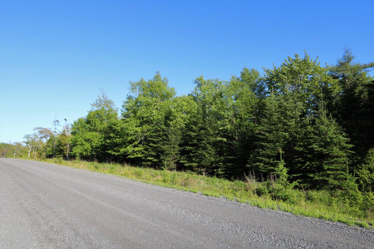 Great Land for Sale in Cape Breton, Nova Scotia Dignam Land