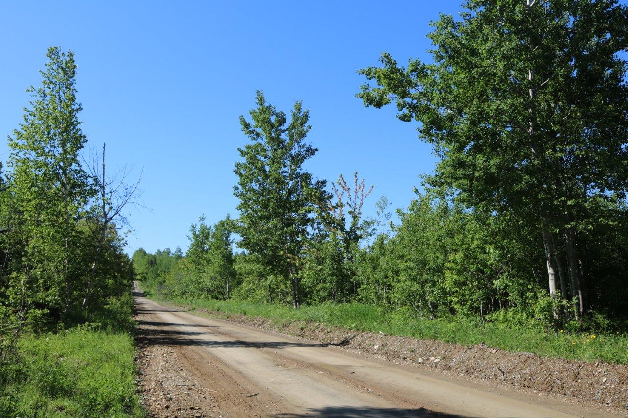 Land for Sale in Restigouche, New Brunswick Dignam Land